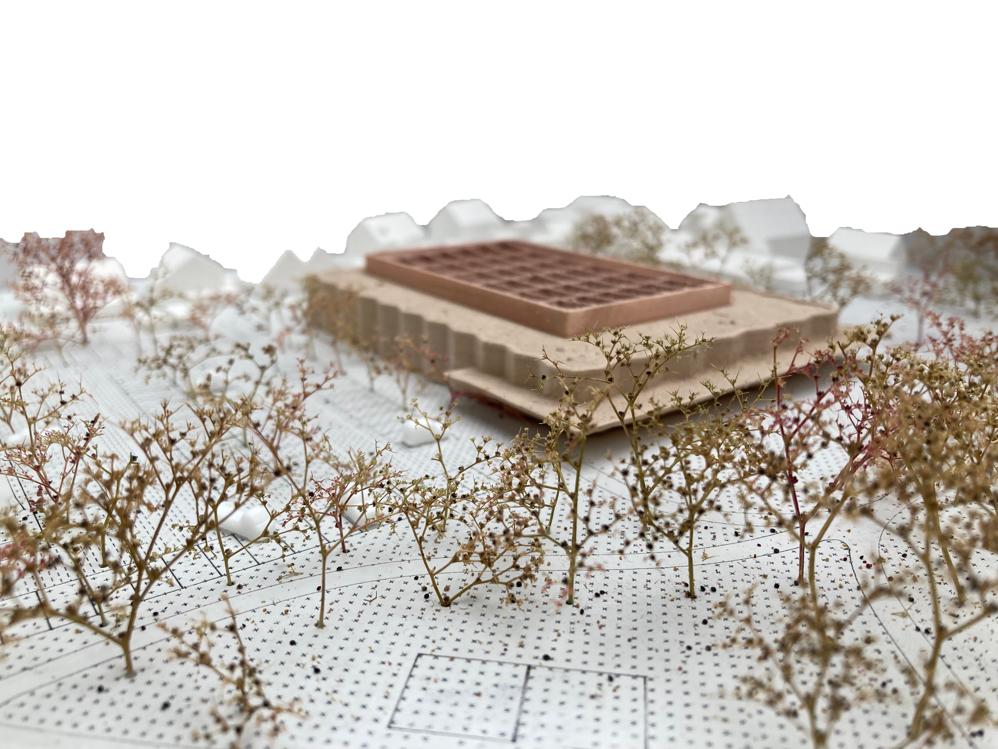 An architectural model